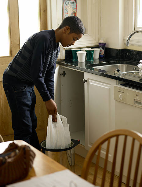 Best Moving and Downsizing Cleanouts  in Carson City, MI